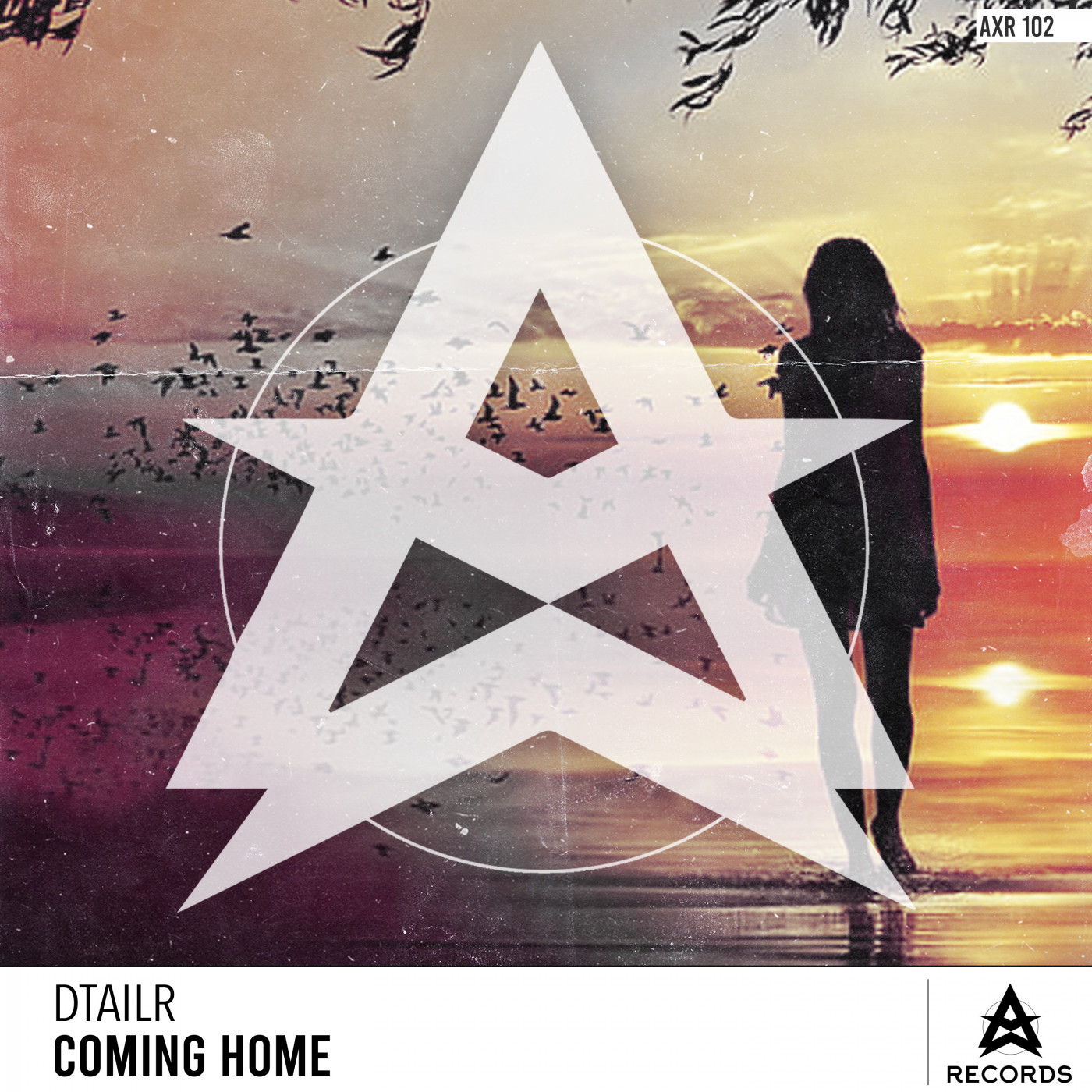 DTAILR - Coming Home